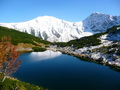 Roháčske lake